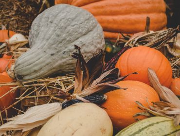Courges