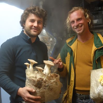 Champipote, champignons bio Rennes