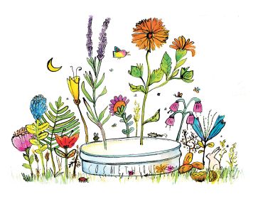 Cosmétiques naturelles