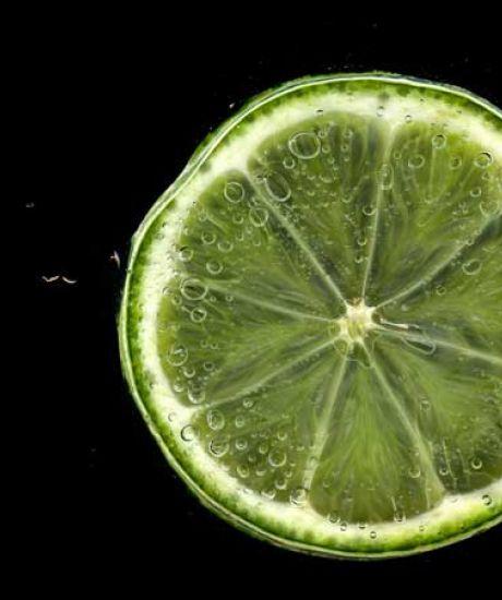 https://scarabee-biocoop.life/virgin cocktail citron vert piment