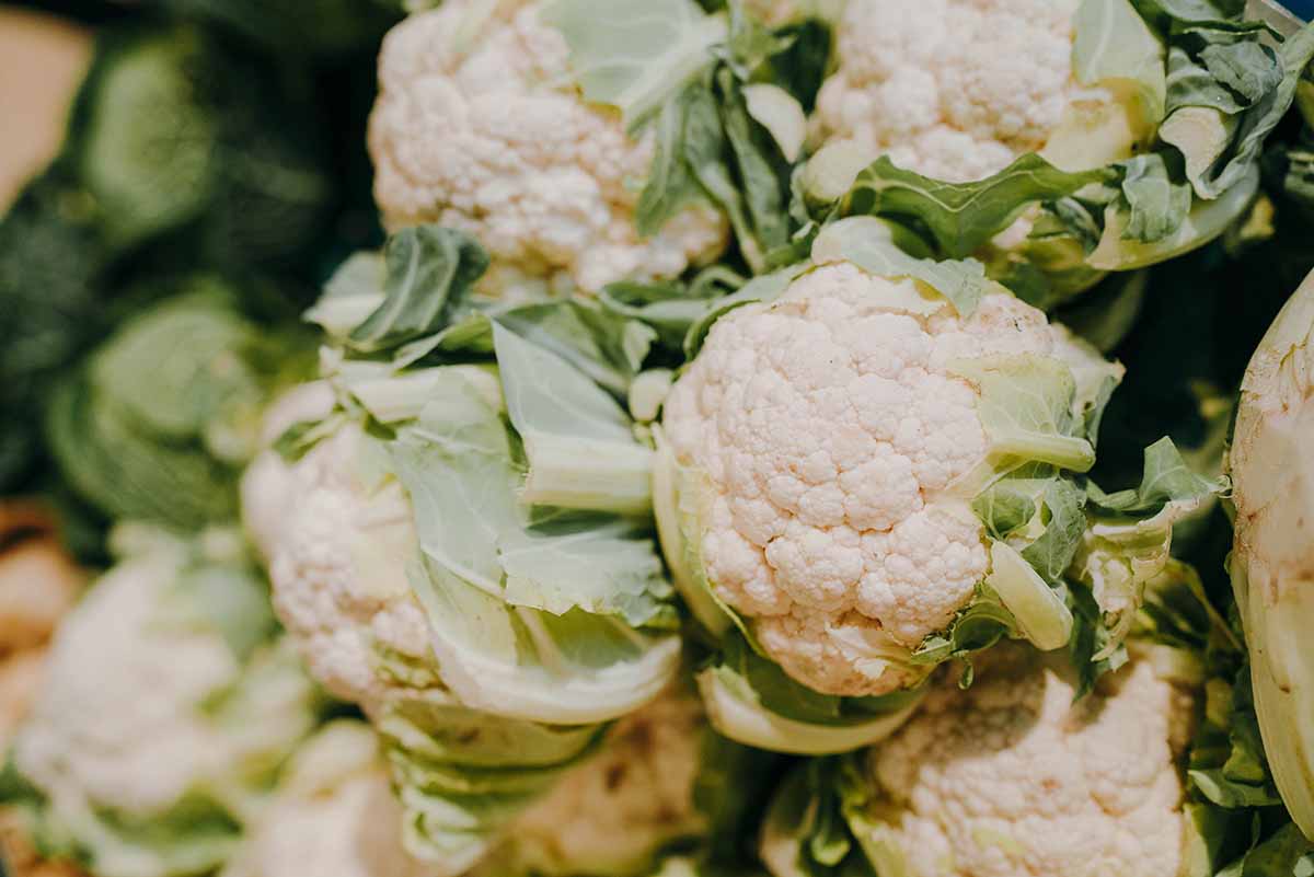 Choux fleur bio